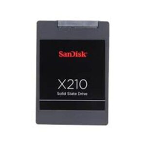 SD6SB2M-256G-1022 SanDisk X210 256GB MLC