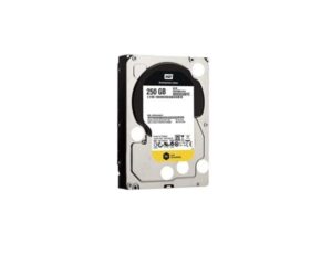 WD2503ABYZ Western Digital 250GB SATA 6GBPS Hard Drive
